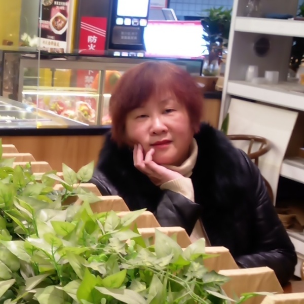 钢笔现代的照片