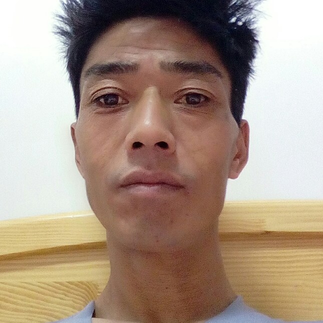 暴躁迎西牛的照片