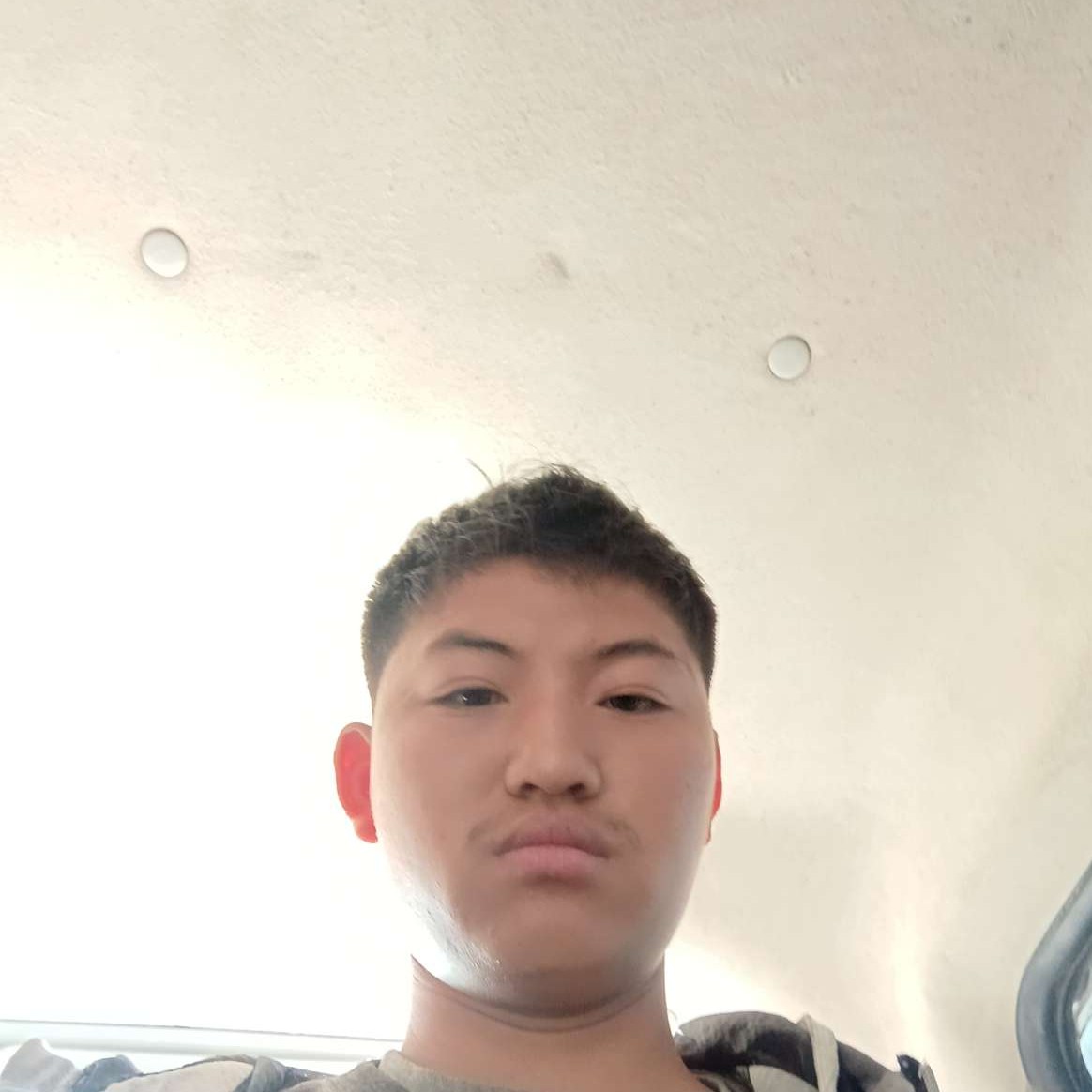 荔枝相许舒适的照片