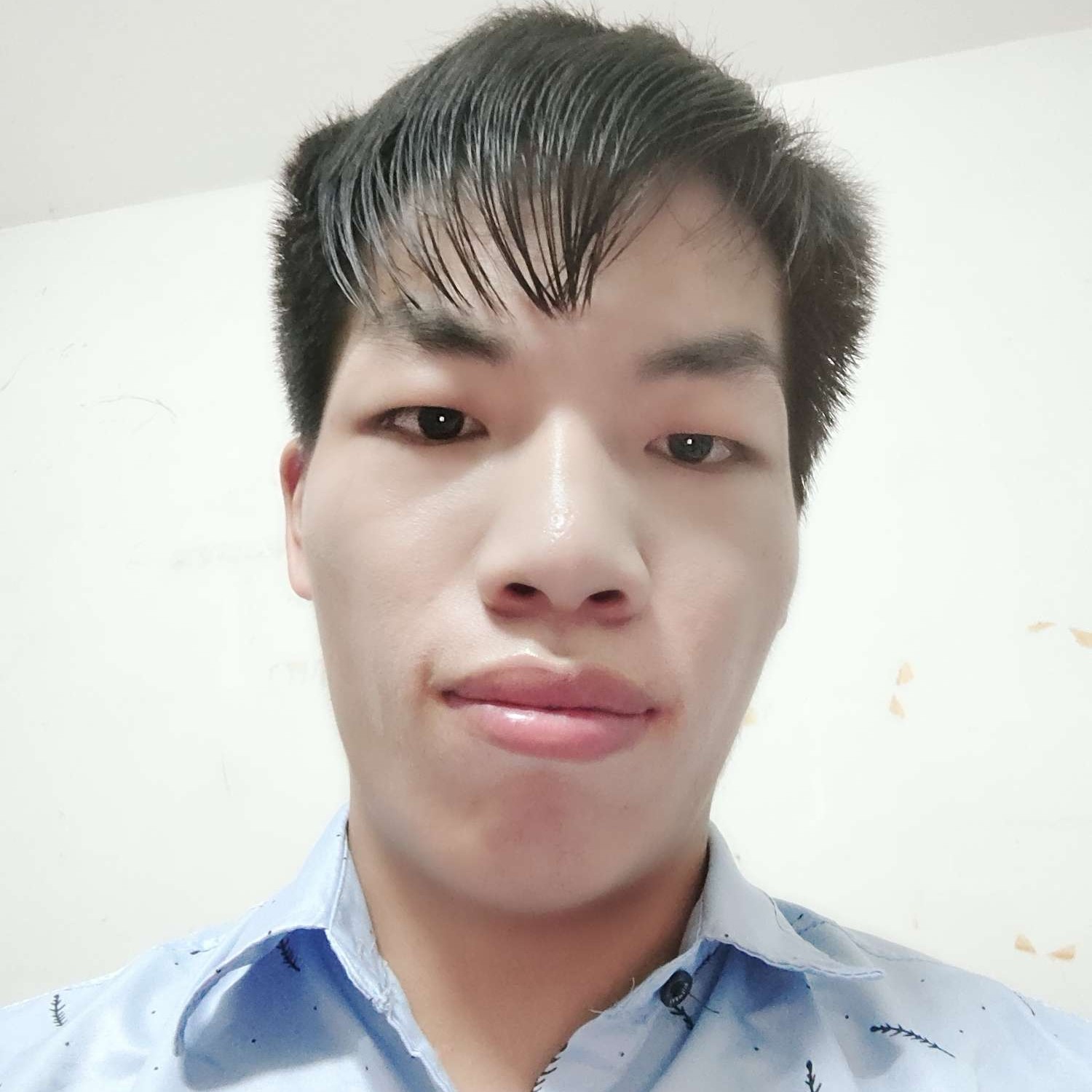 长羽的照片
