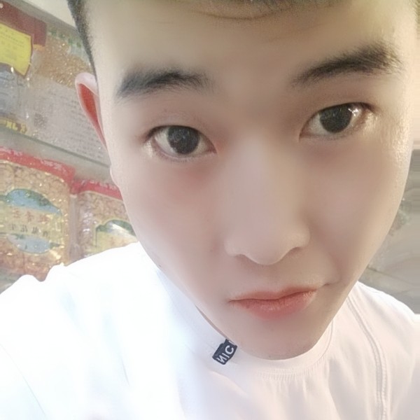 一年的照片