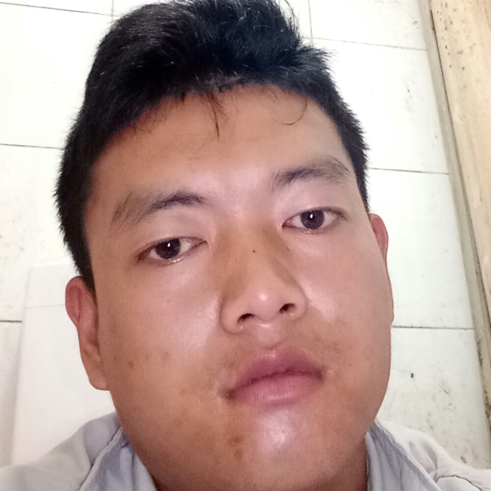 向枝付的照片