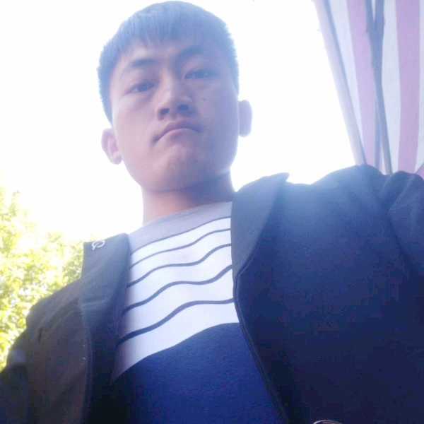 机灵那小天鹅的照片