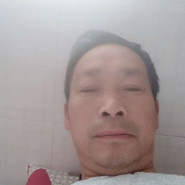 落寂方蜗牛的照片