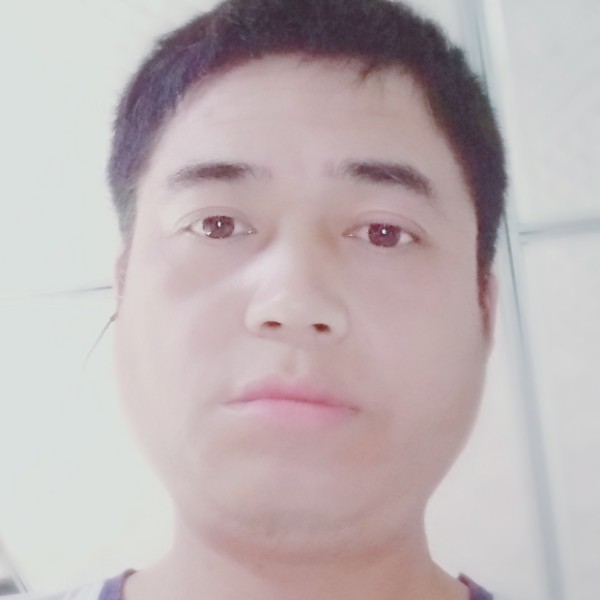 勤劳挽手小鸽子的照片