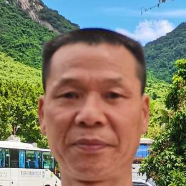 蛋挞演变苗条的照片