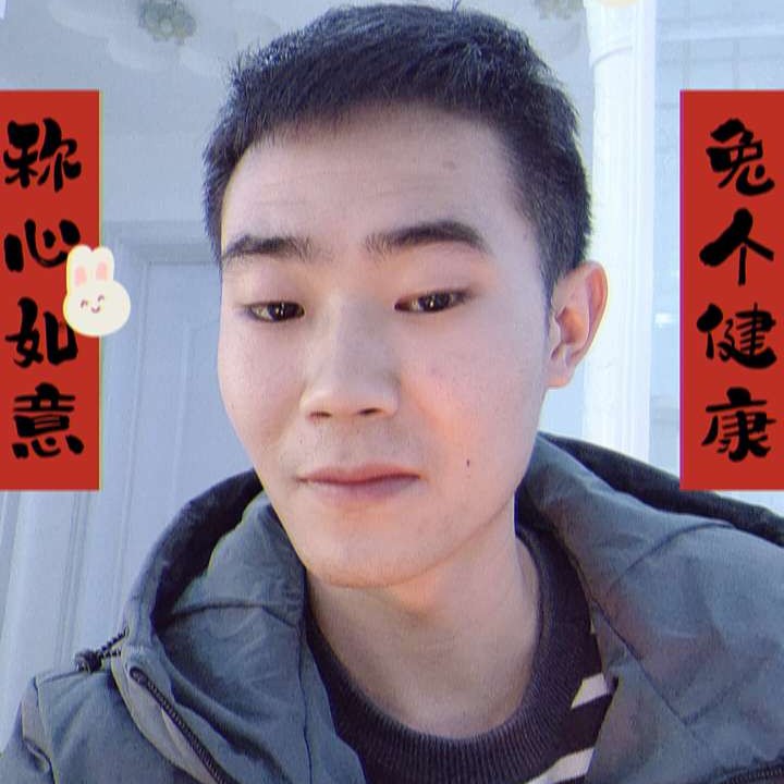 鲤鱼与飞鸟的照片