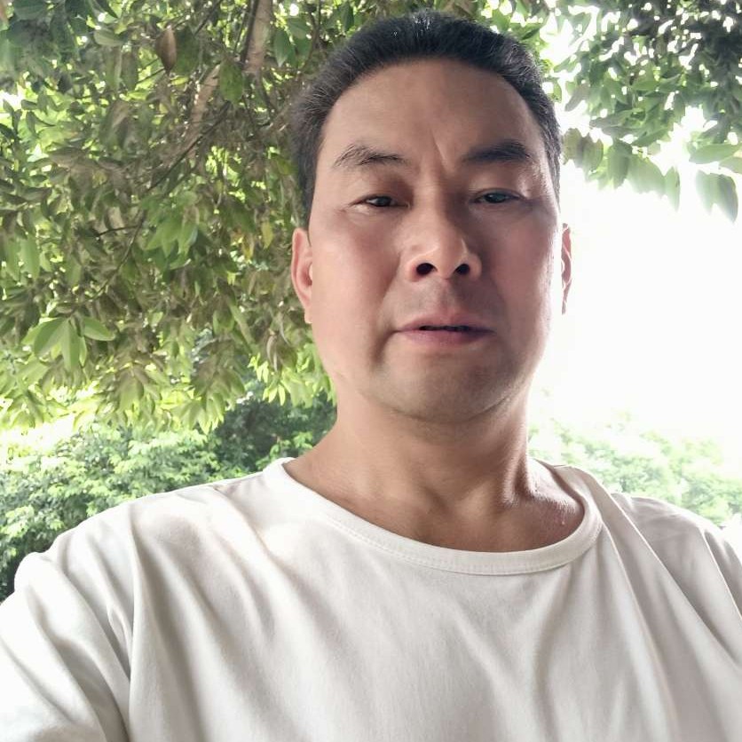 梦影迎典雅的照片