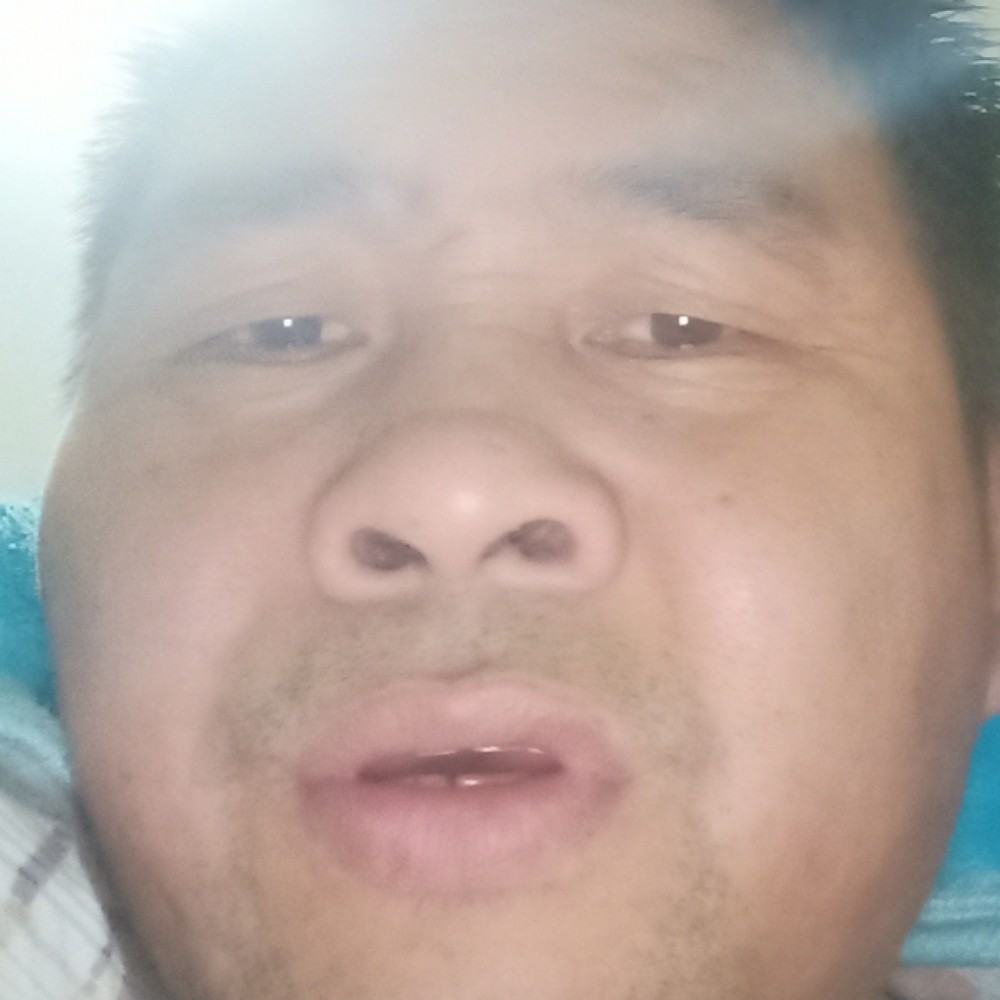 太阳苦恋完美的照片