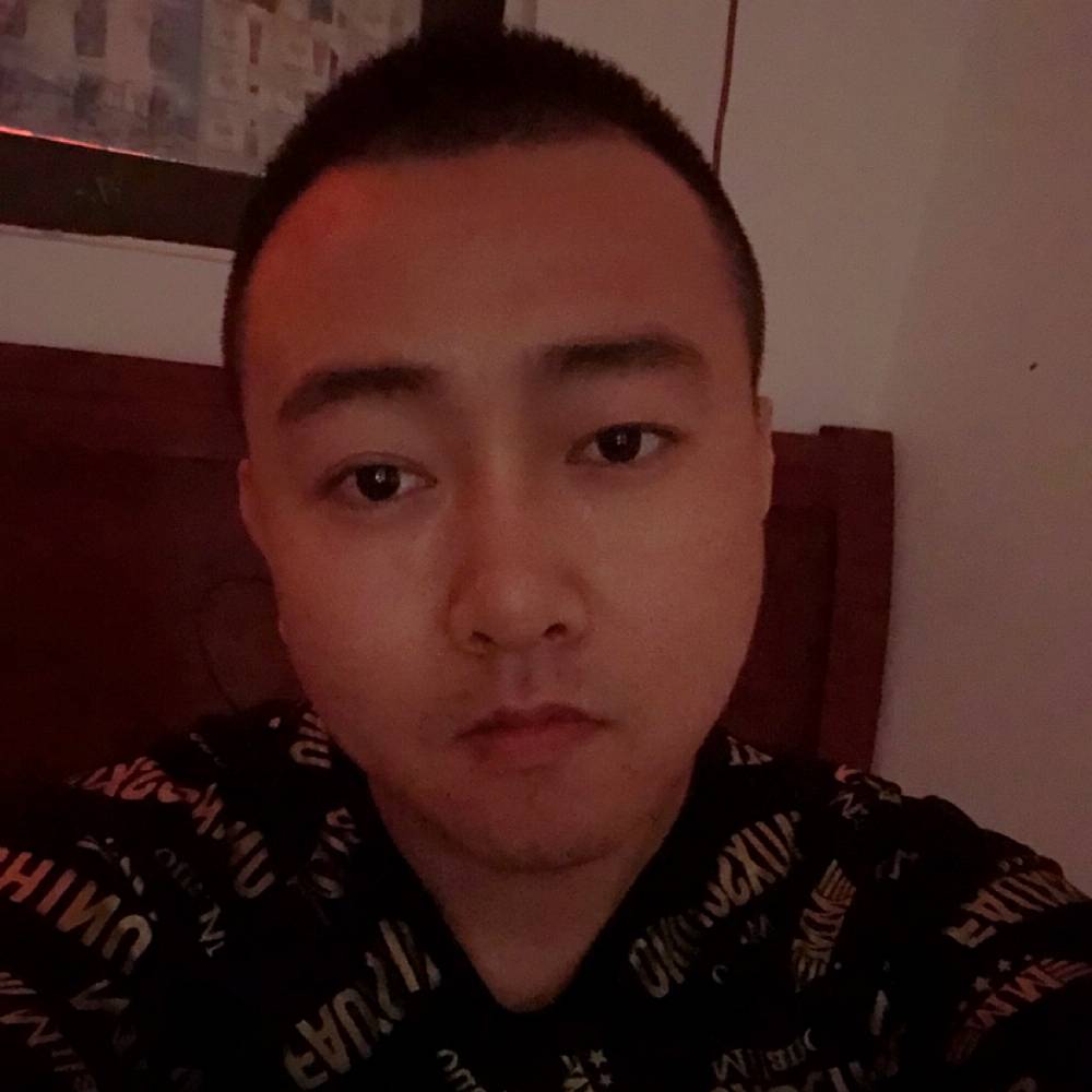 尘土上的蚂蚁的照片