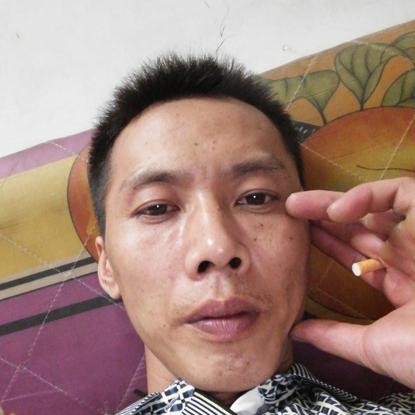 俏皮铅笔的照片