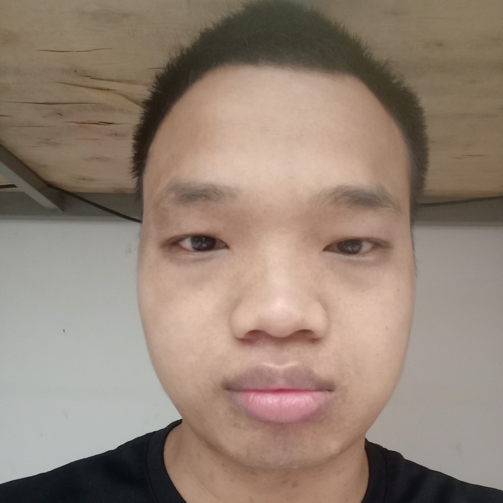 冷傲回首树叶的照片