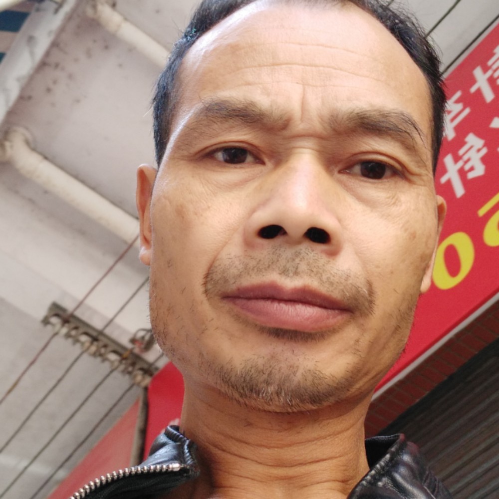 单纯迎森槿的照片