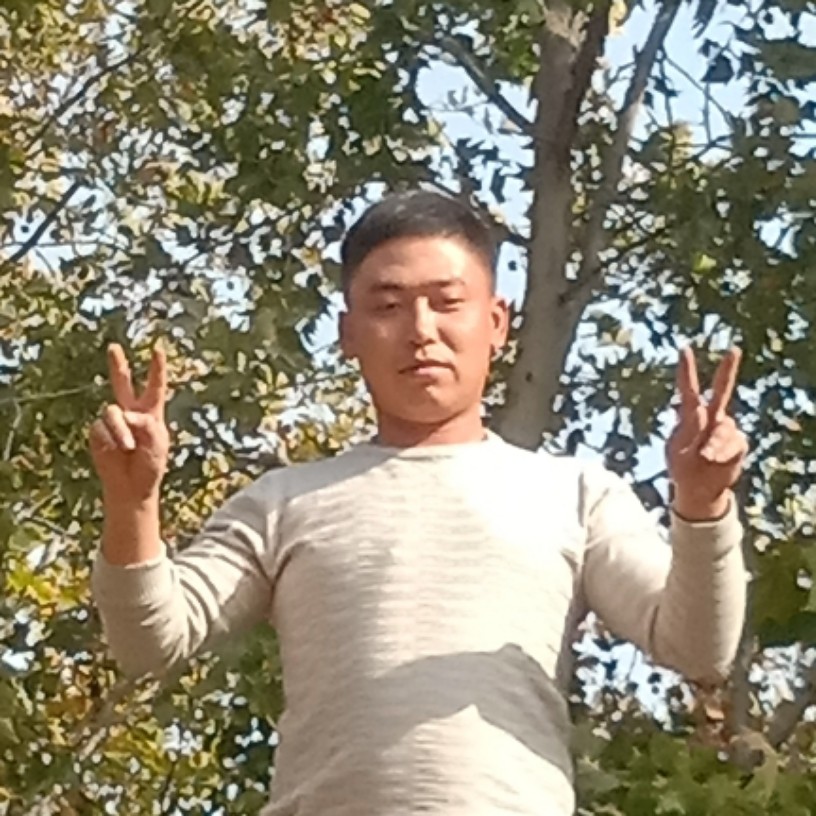 爱情不过是的照片