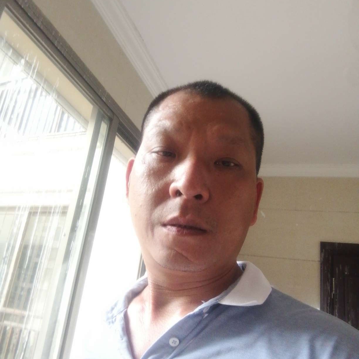 大胆倾心羽毛的照片