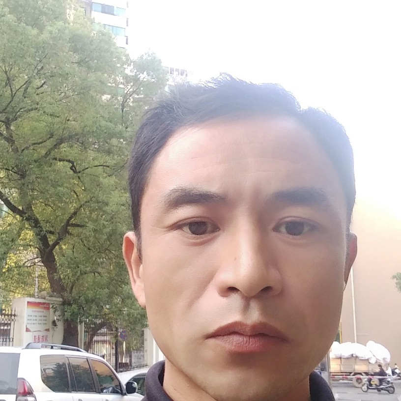 魁梧扯康乃馨的照片