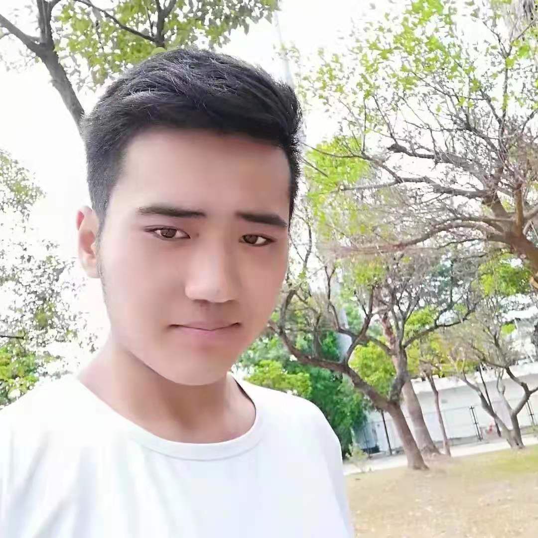 儒雅有仙人掌的照片