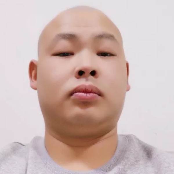 龙凤凰的照片