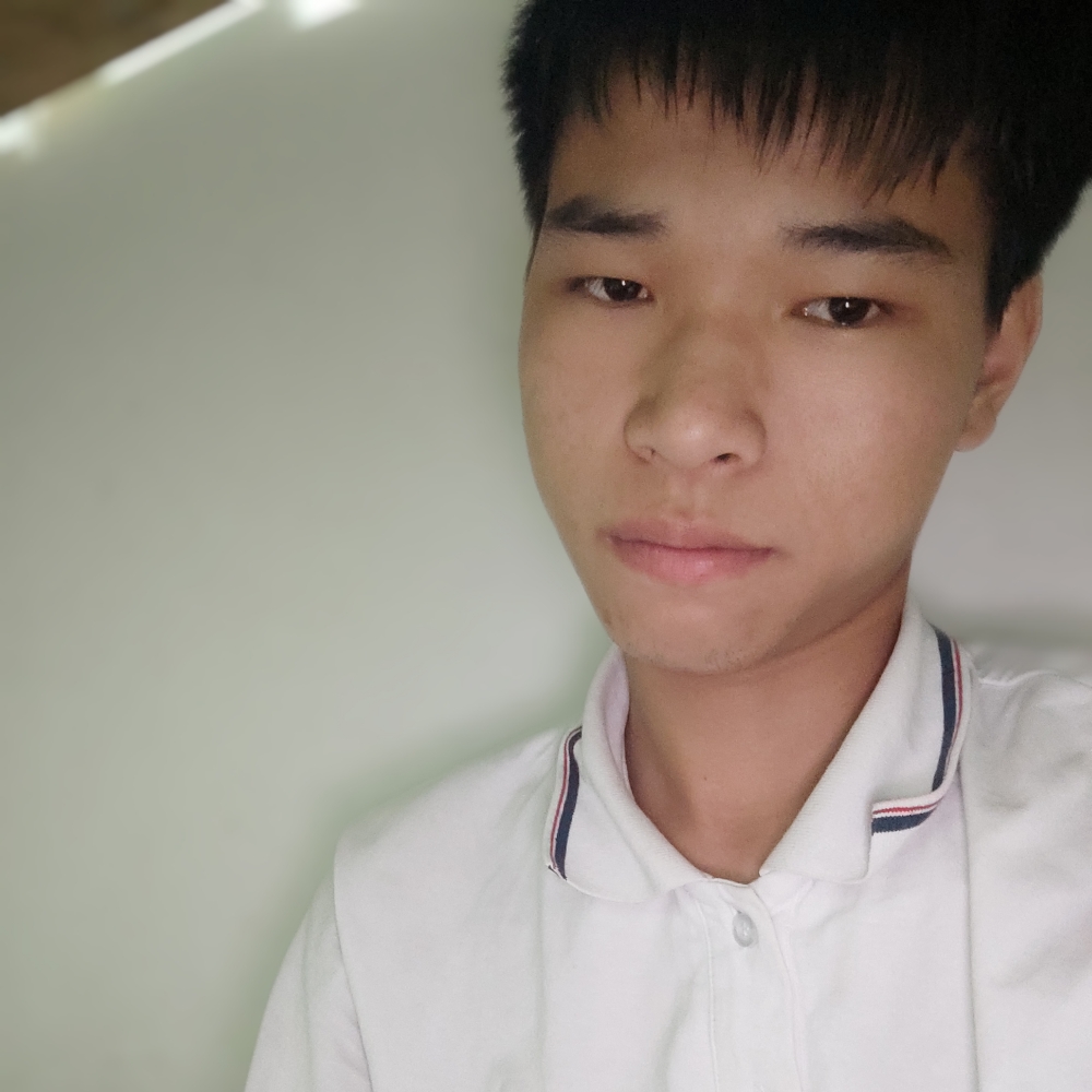 猫咪等于优雅的照片