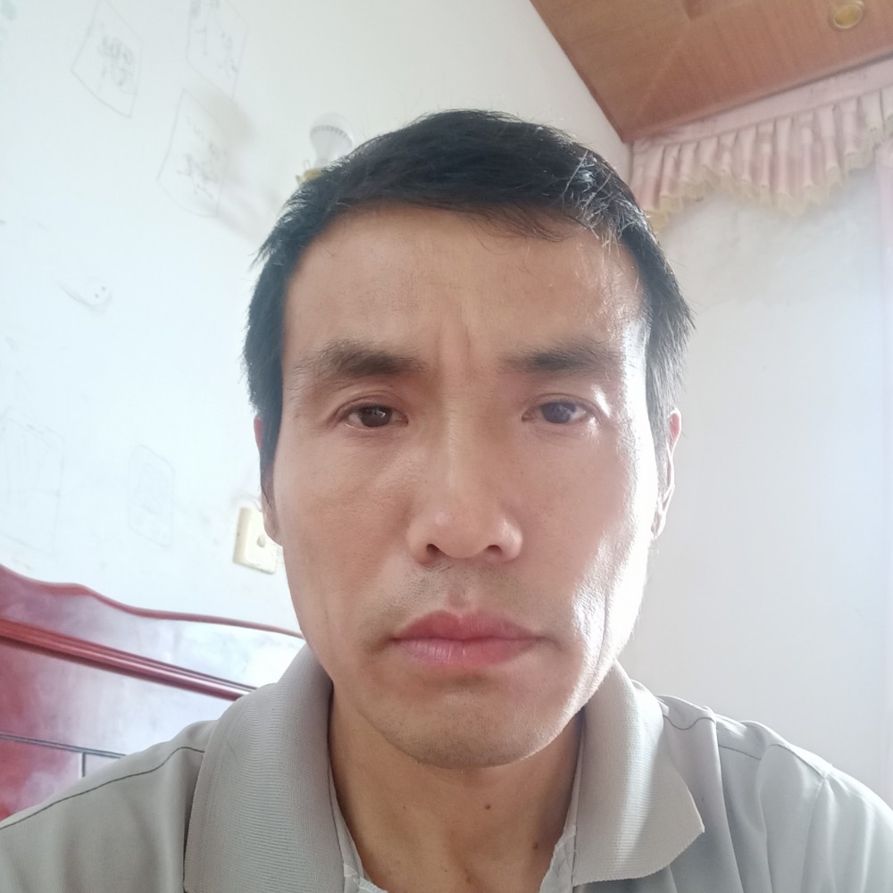 拼搏的钢笔的照片
