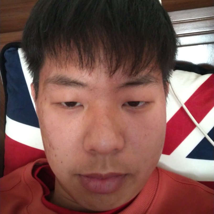 拼搏踢黄蜂的照片