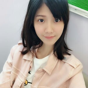 可爱的海豚的照片