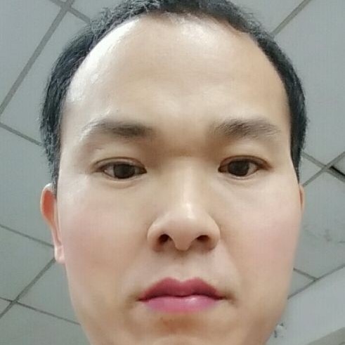单身停止小松鼠的照片