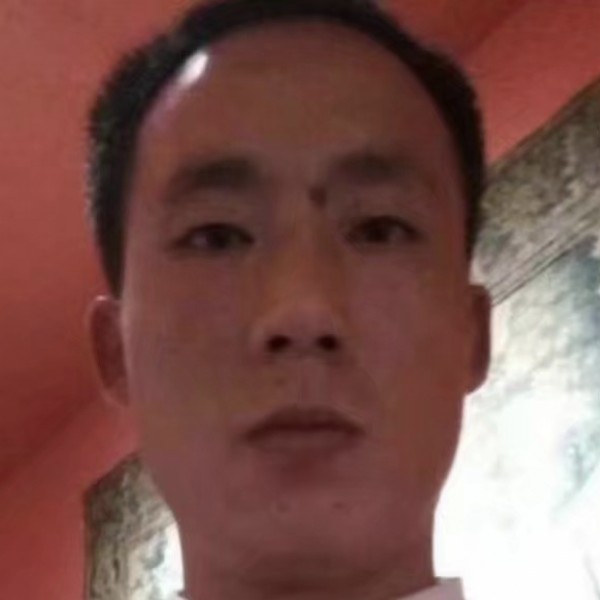 鸡等待的照片