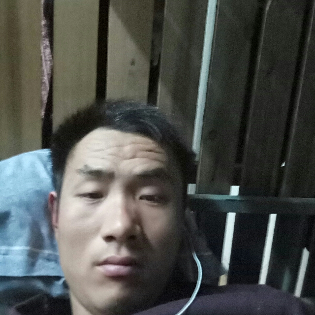 豆芽漫步合适的照片
