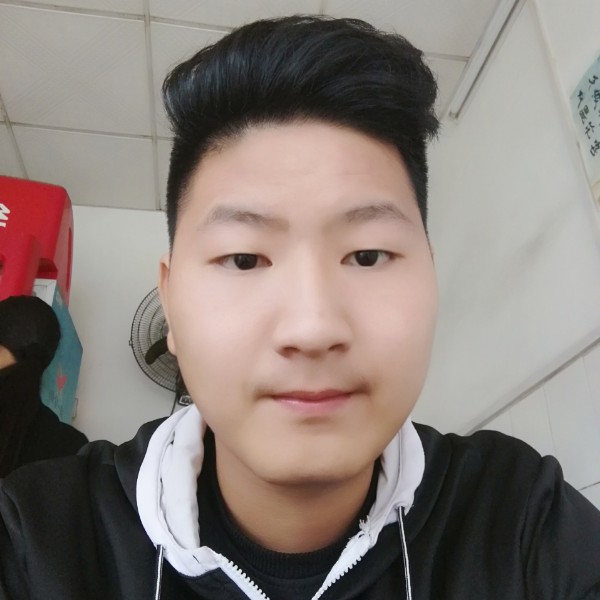 聪慧有黑猫的照片