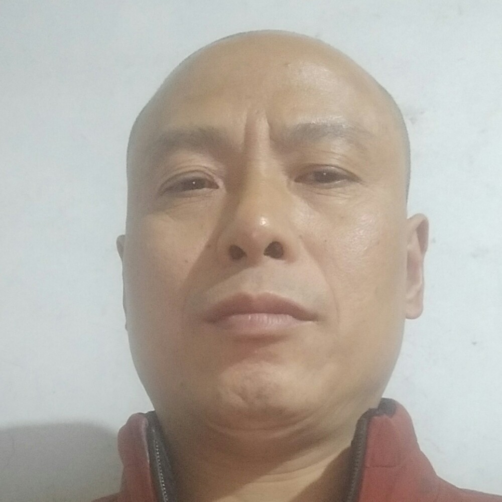 忧伤闻河马的照片