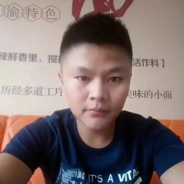 老实等于猫咪的照片