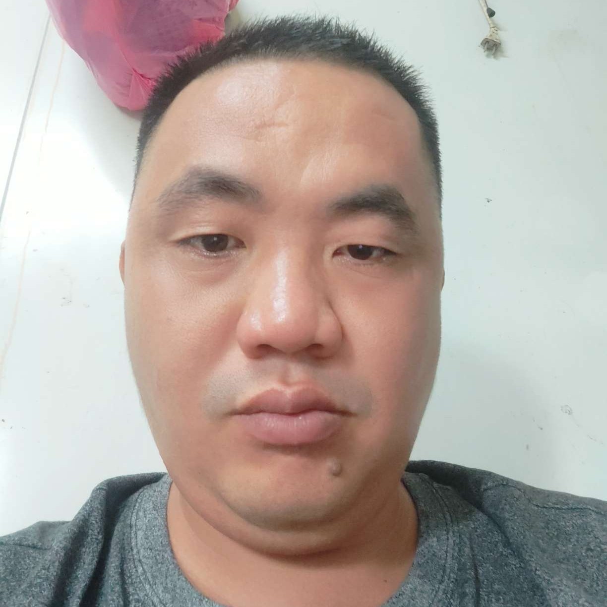 牵牛花开的照片