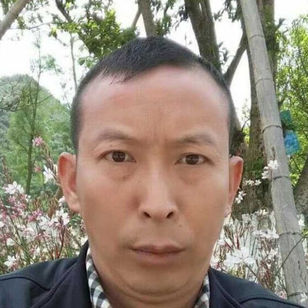超级等于香菇的照片