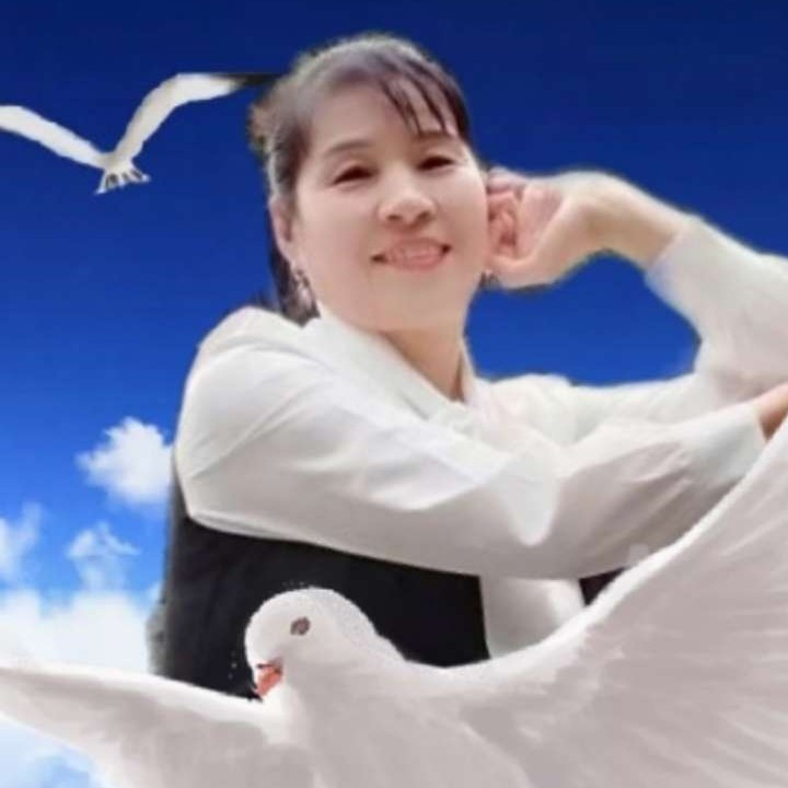 会员152580260的照片