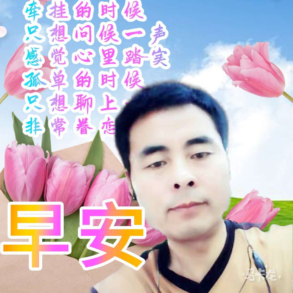 重要的牛排的照片