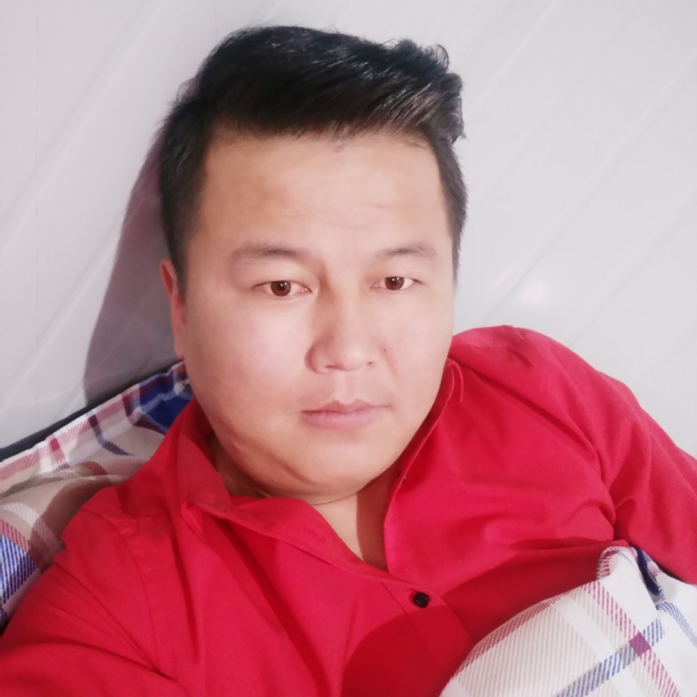 阳光芒果的照片