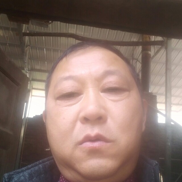 真心交友一生一世的照片