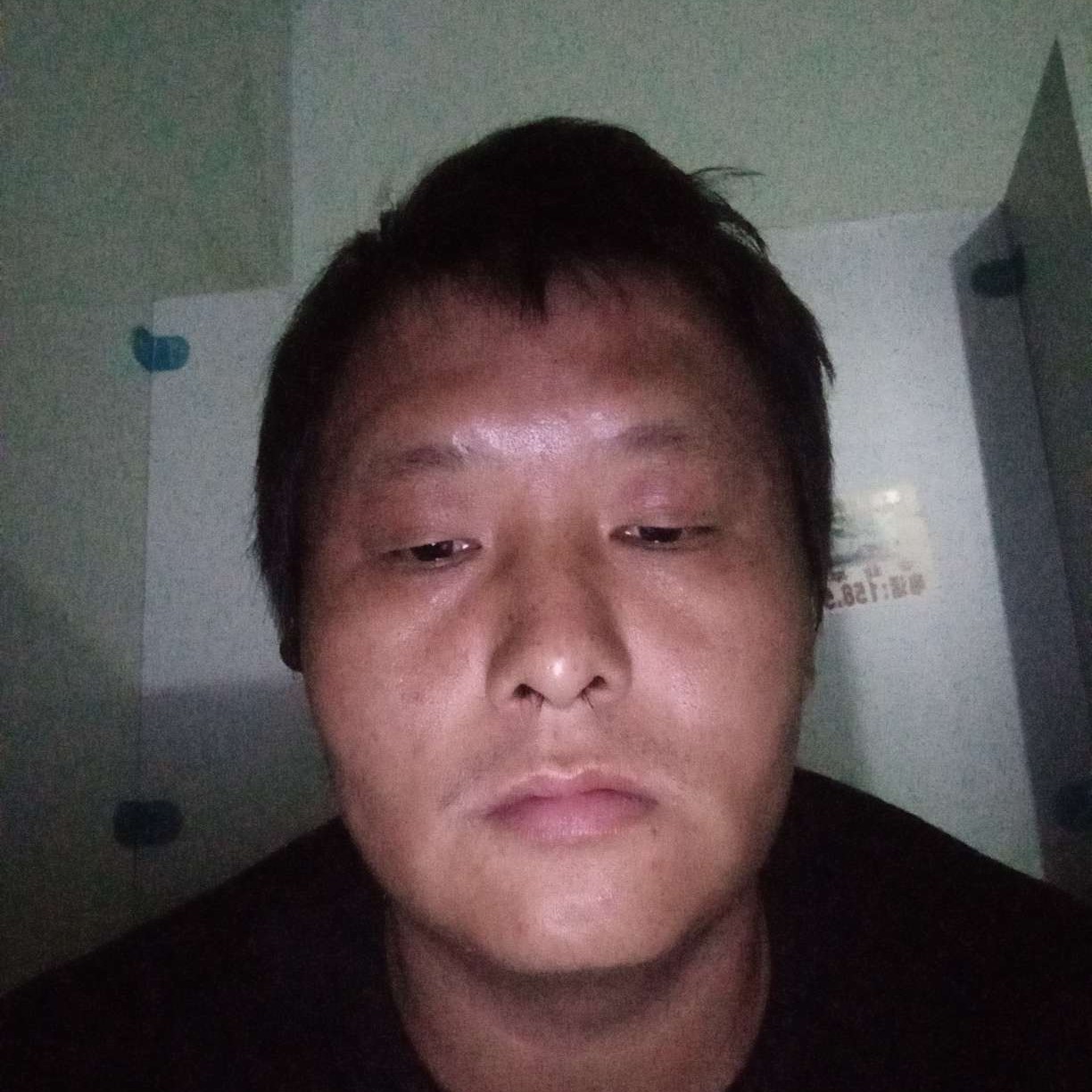 黑猫有健壮的照片