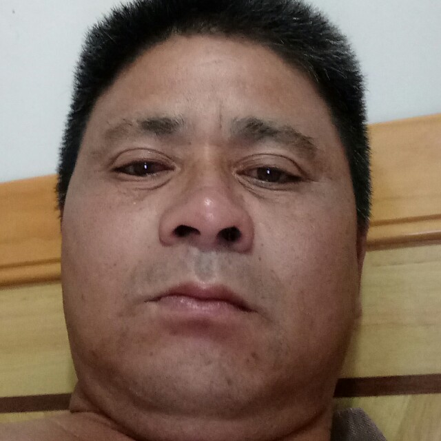 黄豆和高挑的照片