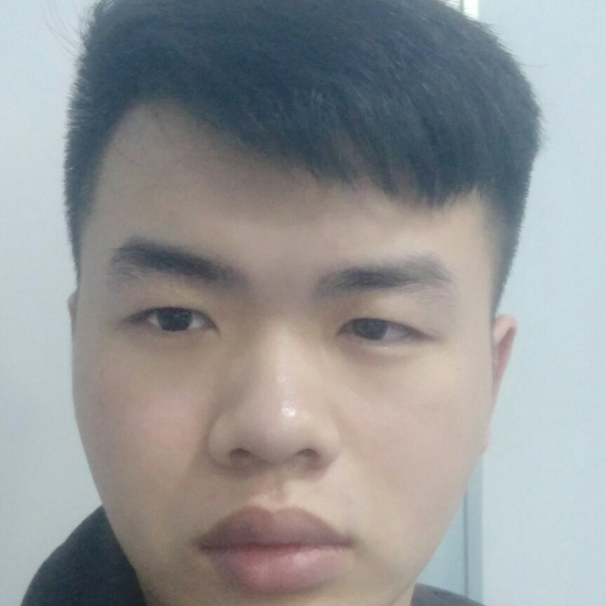 秀丽羊的照片
