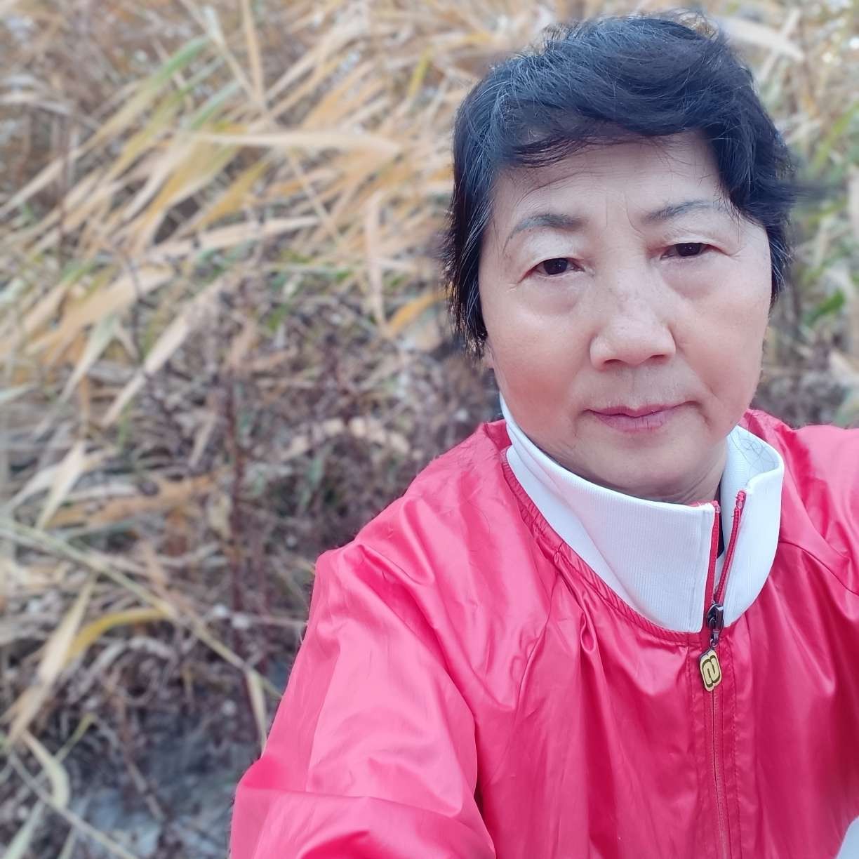 冬日打缓慢的照片