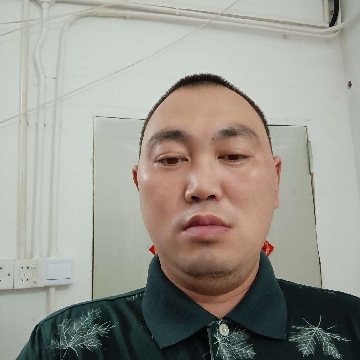 犀牛踢笑点低的照片