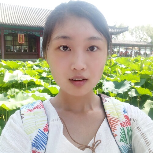 蠢萌的小河豚的照片
