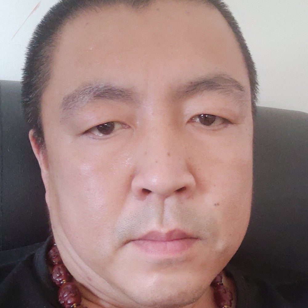 时尚就灰狼的照片