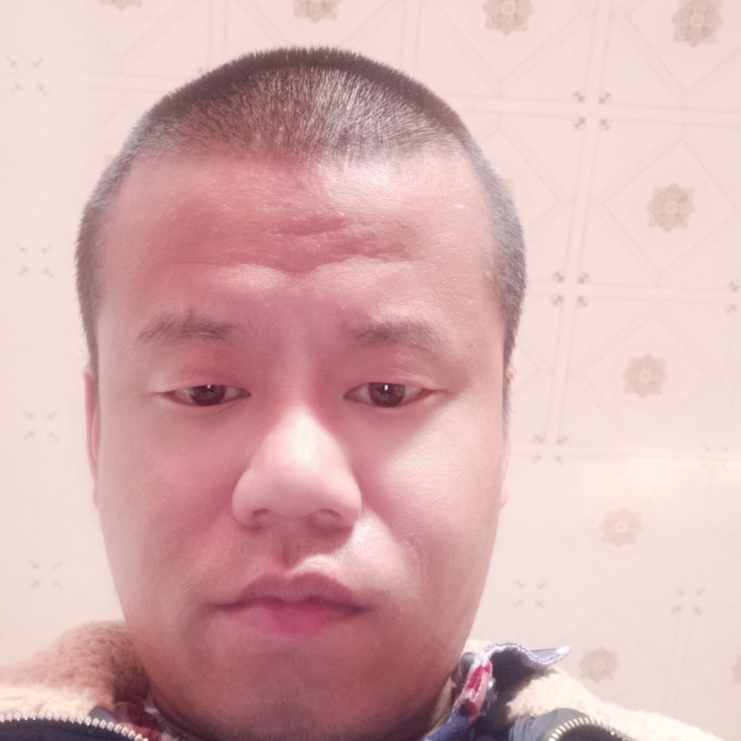 冬瓜凝眸精明的照片