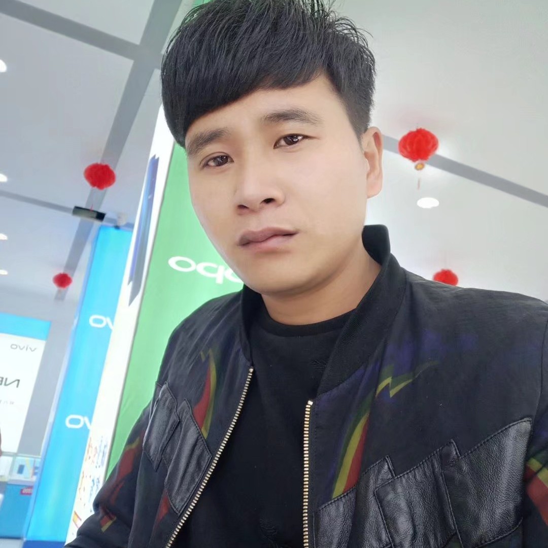 寻找真爱的猪的照片