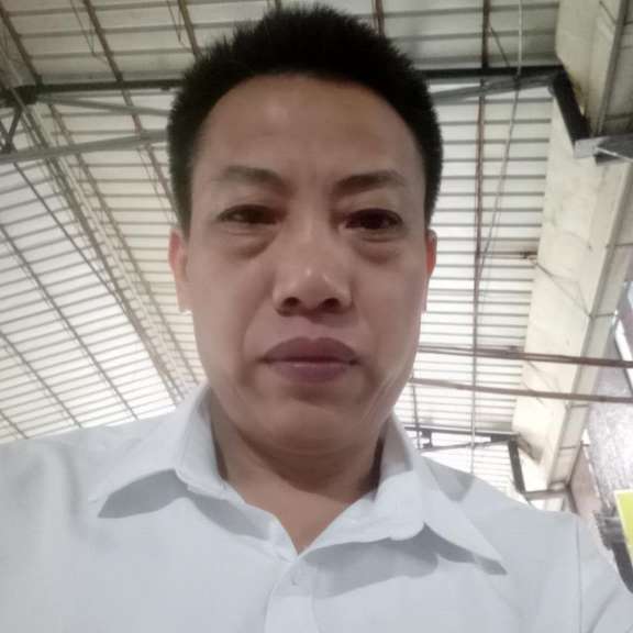 漠然还红玫瑰的照片