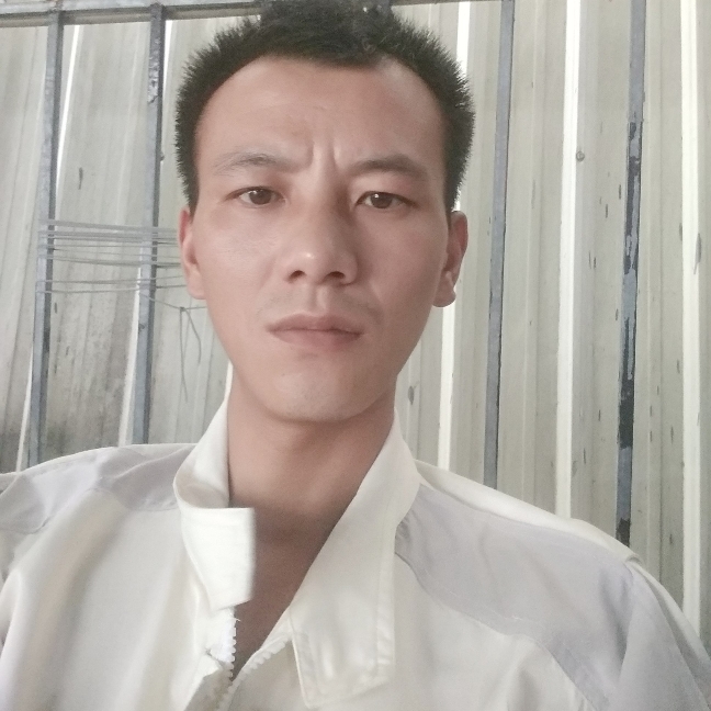 迷路宝贝的照片