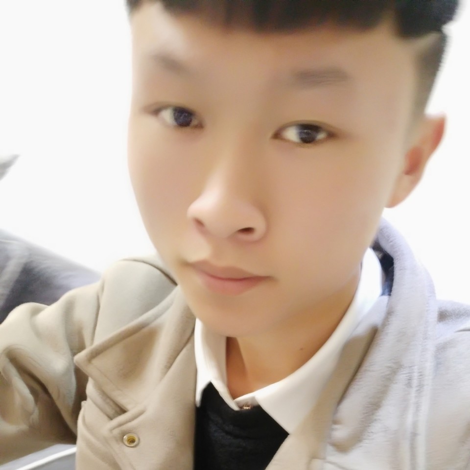 小鸽子改变孤單的照片